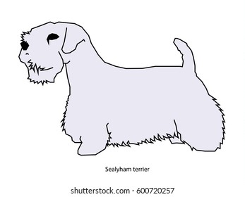 A dog vector illustration isolated