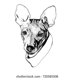 Dog. Vector illustration. Symbol of the year 2018. Miniature Pinscher. Use printed materials, signs, items, websites, maps, posters, postcards, packaging.