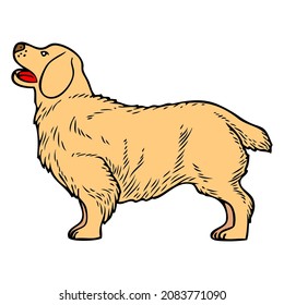 ilustración vectorial de perro, aislado en fondo blanco, vista superior