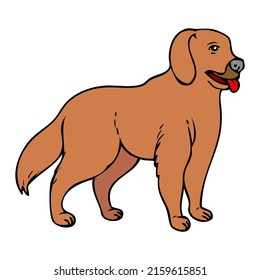 dog vector illustration,isolated on white background,top view