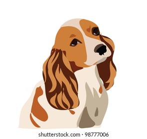 Dog vector isolated on white