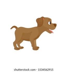 dog vector, pet icon with white background, vector illustration