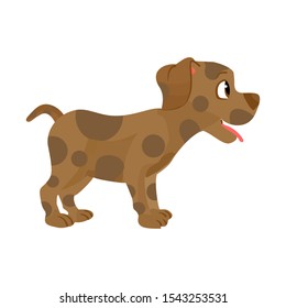 dog vector, pet icon with white background, vector illustration