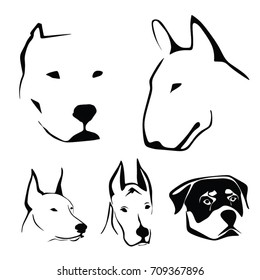 DOG VECTOR. PIT BULL VECTOR. 