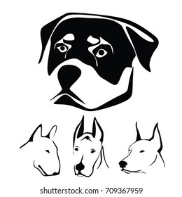 DOG VECTOR. PIT BULL VECTOR. 