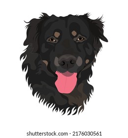 Dog Vector Portrait With White Color Background