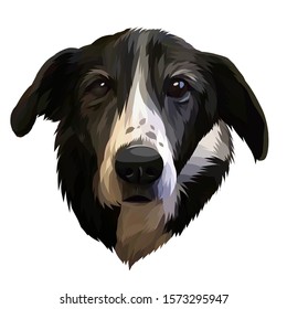 Dog vector potrait awesome detailed