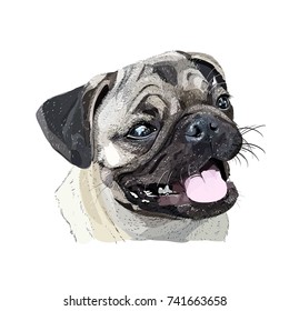 dog vector pug head avatar