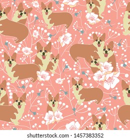 Dog vector repeat pattern for pet products and packaging.Corgis Dog breed.Coral Background Perfect for pet fabrics and textiles wall paper,stationary, Wallpaper.