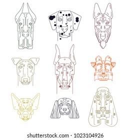 Dog vector set cute illustration home pets doggy different breed. Bulldog, hand small doggie terrier, maltese-dog. Modern vector plain line design icons and pictograms. Spaniel, bulldog, chihuahua.