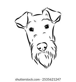 Perro. Vector silueta de perro. Terrier irlandés, boceto de Vector