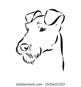 Perro. Vector silueta de perro. Terrier irlandés, boceto de Vector