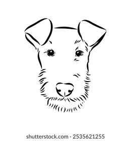 Dog . Vector silhouette of dog. Irish terrier, vector sketch