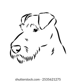 Perro. Vector silueta de perro. Terrier irlandés, boceto de Vector