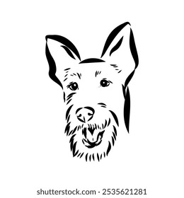 Dog . Vector silhouette of dog. Irish terrier, vector sketch