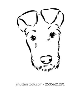 Dog . Vector silhouette of dog. Irish terrier, vector sketch