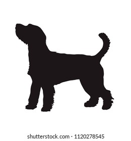 Dog vector silhouette, Parson Russell Terrier. Side view