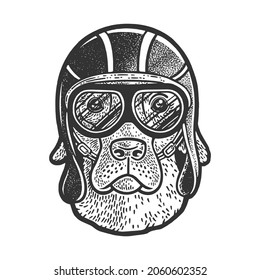 dog in vintage motorcycle helmet and glasses sketch engraving vector illustration. T-shirt apparel print design. Scratch board imitation. Black and white hand drawn image.
