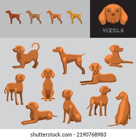 Dog Vizsla Cartoon Vector Illustration Color Variation Set