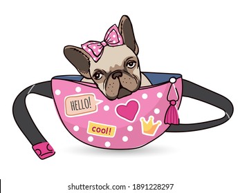 Dog in waist bag. Funny domestic cute animal french bulldog young pets vector illustrations