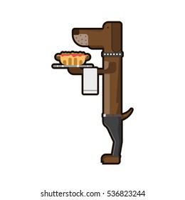 dog waiter.Dachshund cook.Dog restaurant