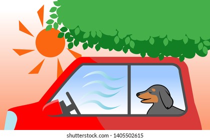 Dog waiting in the car under the tree