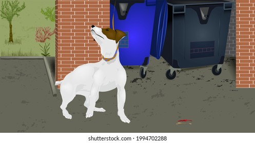 The dog is waiting for the owner's permission to eat what he saw on his way.