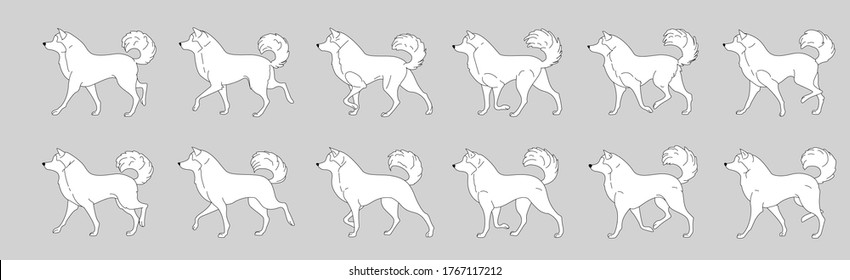 Dog Walk Cycle For Animation