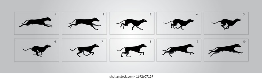 Dog walk cycle animation . Dog jump animation sprite sheet for games, cartoon or video, illustration – Vector
