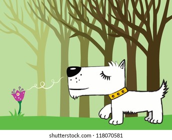 Dog for a walk, on a background of trees, flowers in the grass