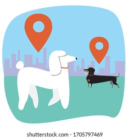 Dog walk without a master and tracking by gps collar at a location. Stock vector flat illustration with pedigree poodle and dachshund as a concept for controlling dogs for walks