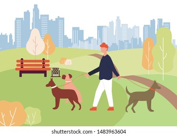 Dog Walker Job. Cartoon Man Walk In Park Holding Leash In Hand. Doberman Boxer Breed In Collar Vector Illustration. Dog Meeting, Animal Friendship. Doggy Play Outdoors. Pet Love, Care, Training