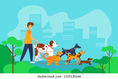 Dog walker man walking with a group of dogs of different breeds in the city. Vector illustration in flat style. 