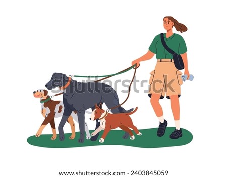 Dog walker, pet sitter walking with doggies on leash. Woman leading puppies group, strolling outdoors. Professional canine animal service. Flat graphic vector illustration isolated on white background