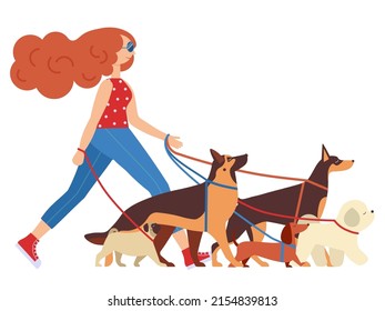 Dog Walker Woman With Group Of Dogs On Leashes. Female Pet Sitter Or Professional Handler For Doggy Walking, Training And Day Care Business.