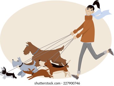 Dog walker. Young woman running with a group of dogs of different breeds, vector cartoon, no transparencies 