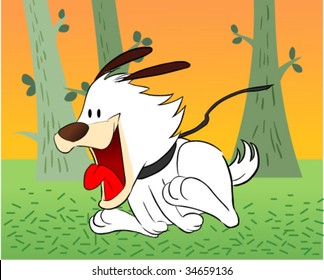 dog walking