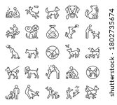 Dog walking, icon set. Dog on a leash with the owner, linear icons. Clean up after your dog. Playing with a pet. Line with editable stroke