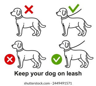 Dog walking with leash allowed, person keep doggy pet on lead in public park zone line icon set. Prohibition sign canine domestic animal stroll outdoor without collar. Labrador puppy training. Vector