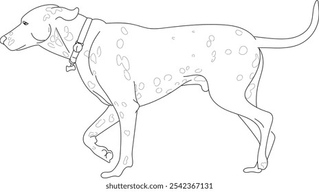 Dog Walking line illustration, Hand drawn in thin line style