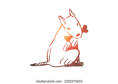 Dog, walking, outdoor, pet, domestic concept. Hand drawn home dog walking concept sketch. Isolated vector illustration.