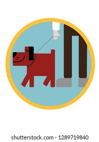 dog walking service