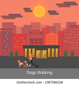 Dog walking service. Banner. Young Woman walking with a dogs different breeds: terrier, poodle, dachshund, husky. Vector Illustration