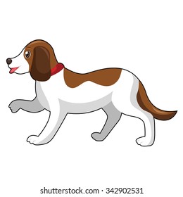 Dog Walking in White Background
