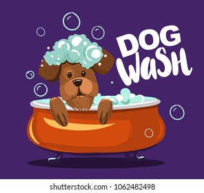 Dog wash. Grooming. Cartoon vector illustration