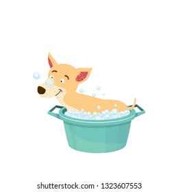 dog wash vector illustration