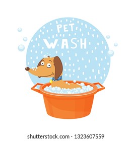 dog wash vector illustration