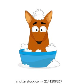 Ein Hund wird in einem Waschbecken mit Shampoo gewaschen, Vektorgrafiken für eine Website über Tiere und Heimtierläden