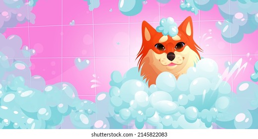 Dog washing procedure in spa or pets grooming salon, animal care services. Funny corgi puppy with foam on head enjoying salon pampering sit in tub with shampoo bubbles Cartoon vector Illustration