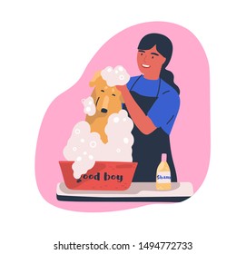 Dog washing service flat vector illustration. Hairdresser shampooing cute domestic animal cartoon character. Happy owner bathing pet in soap foam isolated clipart. Retriever puppy in grooming salon.